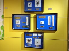 -上海昆虫博物馆