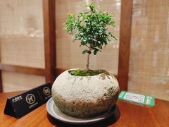 -小西家作•精致蛋糕(富力爱丁堡店)