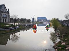 -荷兰花海