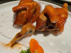 -粤凤佬