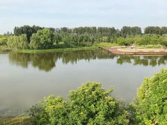 -东郊湿地公园