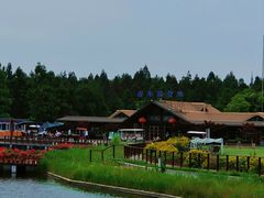 -东平国家森林公园