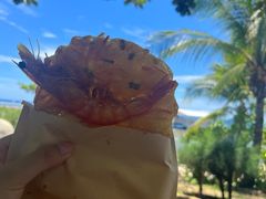 -三亚西岛海洋文化旅游区