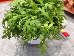 -侃爷南门铜锅涮肉