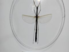 -上海昆虫博物馆