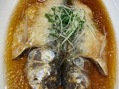 清蒸鲥鱼-绍兴饭店(大宁店)