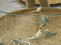 -上海昆虫博物馆