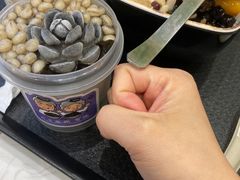 -鲜芋仙(高新益田假日里店)