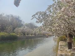 -元大都城垣遗址公园