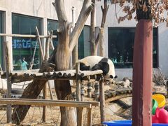 -沈阳森林动物园