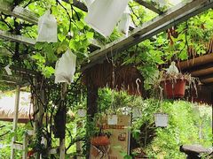 -小仙居·农家宴烤羊· 农庄