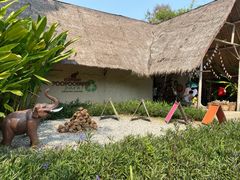 -大象粑粑造纸公园