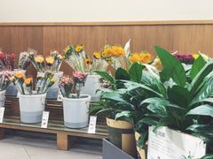 -鹿岛会员店 (龙湖三千集天街店)