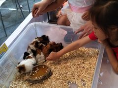 -东浩兰生上海世博展览馆