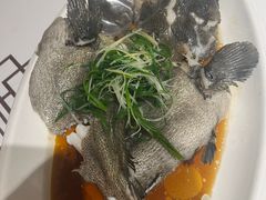 -强记海鲜·大排档(蛇口新街店)
