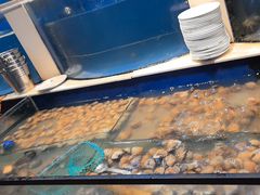 -海天盛宴新派海鲜自助餐厅(群力店)
