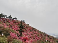 -木兰云雾山