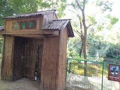 -镇江市南山风景名胜区竹林景区