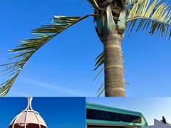 -巧克力渔家.小船海鲜家常菜(万平口店)