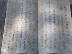 -莲花池公园