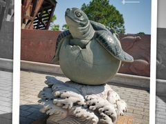 -广东惠东海龟国家级自然保护区