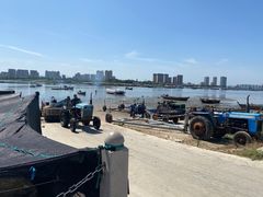 -养马岛旅游度假区