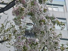 -杭州师范大学(下沙校区)