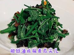 椒丝油鸡枞麦瓜尖儿-泓0871臻选云南菜·味庄