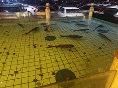 -力力渔港涉外店