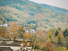 -塔川景区