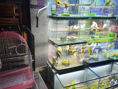 -青石桥花鸟鱼虫市场(叠翠城店)