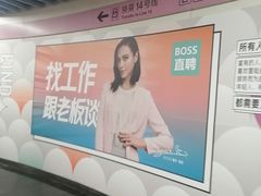 -大望路(地铁站)