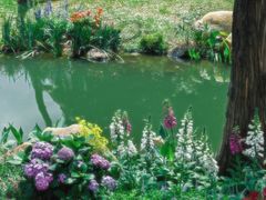 -人民公园(罗湖区)