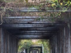-光明小镇欢乐田园