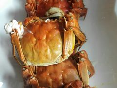 -古韵轩·江浙融合菜(梁溪店)
