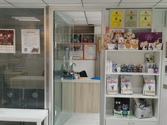 -纳吉亚猫专科动物医院(康都外科中心)