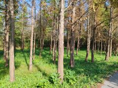 -嘉北郊野公园