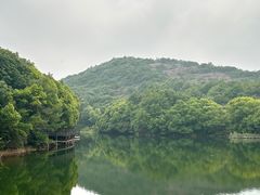 -白马涧龙池景区