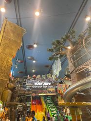 -卡通尼·Safari非洲探索乐园·生日会(金桥国际商业广场店)