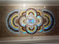 -上海昆虫博物馆