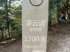 -梧桐山风景名胜区