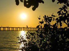 -宝安西湾红树林湿地公园