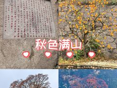 -崂山巨峰游览区