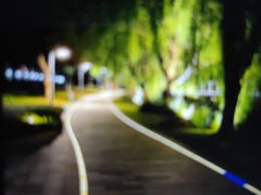 -桃花堤公园