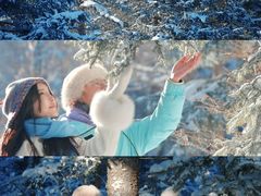 -芦芽山旅游度假区