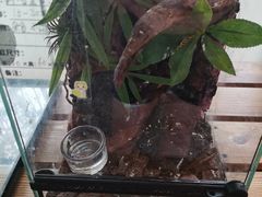 -春晖园度假酒店温泉