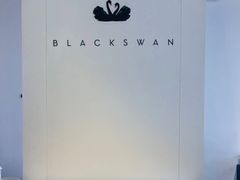 -BLACKSWAN黑天鹅(环球店)