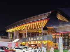 -合肥大剧院