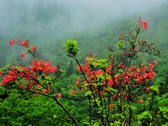 -永州阳明山国家森林公园