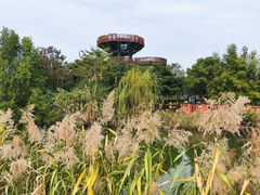 -芒洲湿地公园